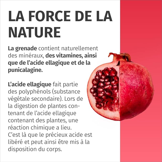 Extrait de Grenade - IMPORTANT: 50:1 extrait (=110.000mg) par dose journalière avec 40% d'acide ellagique - 100% Végétalien & Sans Additifs - Réserve pour 2 mois