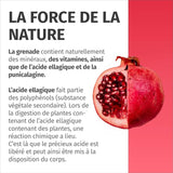 Extrait de Grenade - IMPORTANT: 50:1 extrait (=110.000mg) par dose journalière avec 40% d'acide ellagique - 100% Végétalien & Sans Additifs - Réserve pour 2 mois