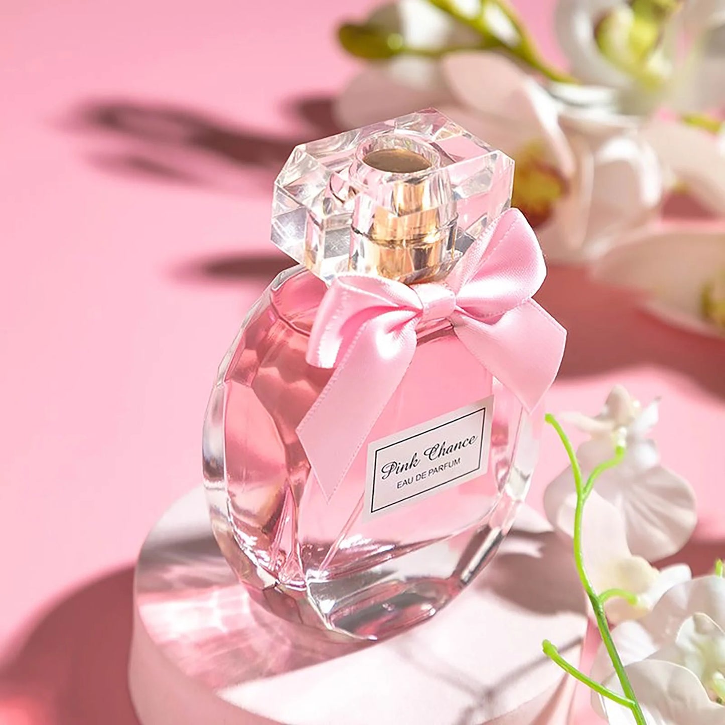 Eau de Parfum Spray avec Notes de jasmin, d'épices et d'herbes Parfum femme Parfum frais Parfum léger durable 50 ml