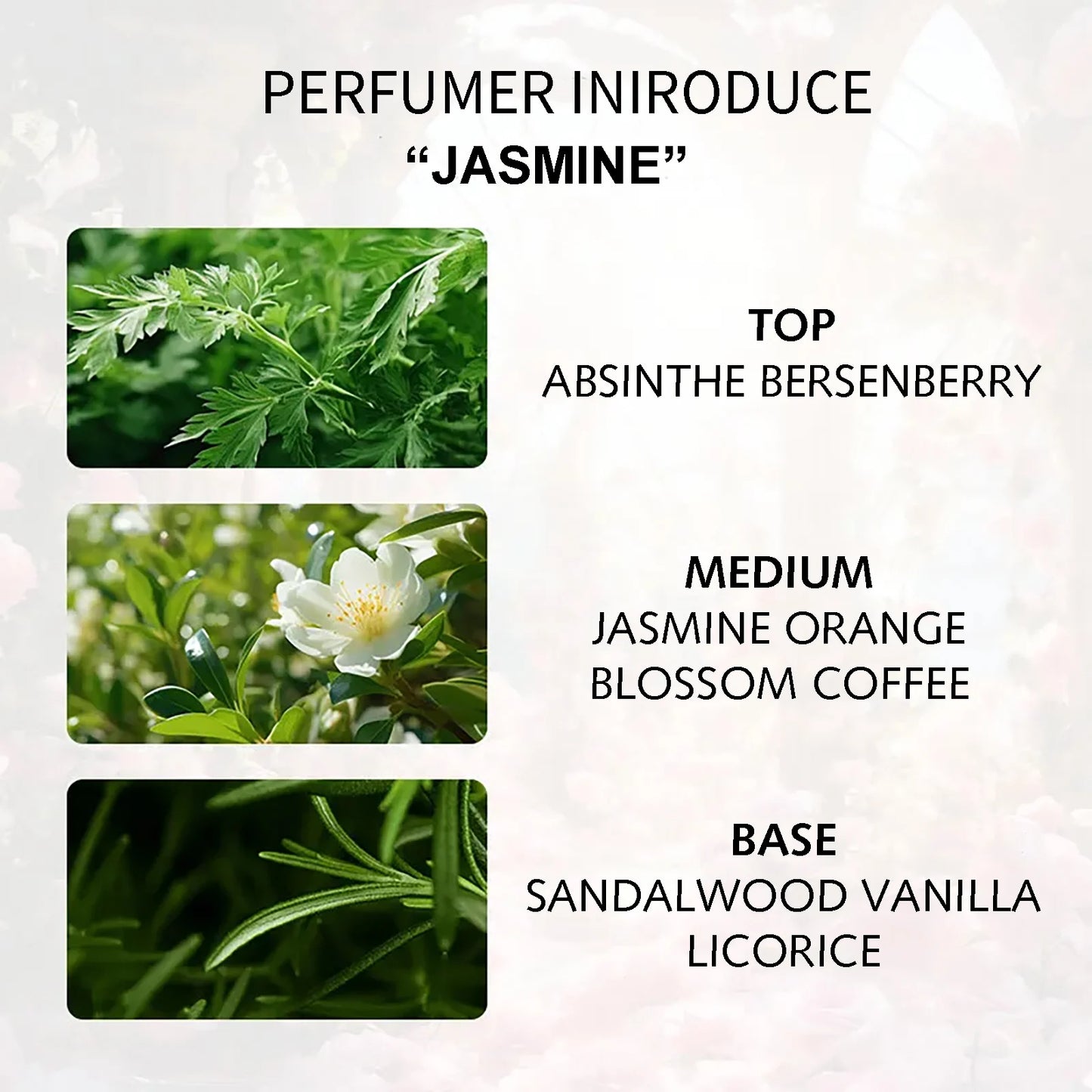 Eau de Parfum Spray avec Notes de jasmin, d'épices et d'herbes Parfum femme Parfum frais Parfum léger durable 50 ml