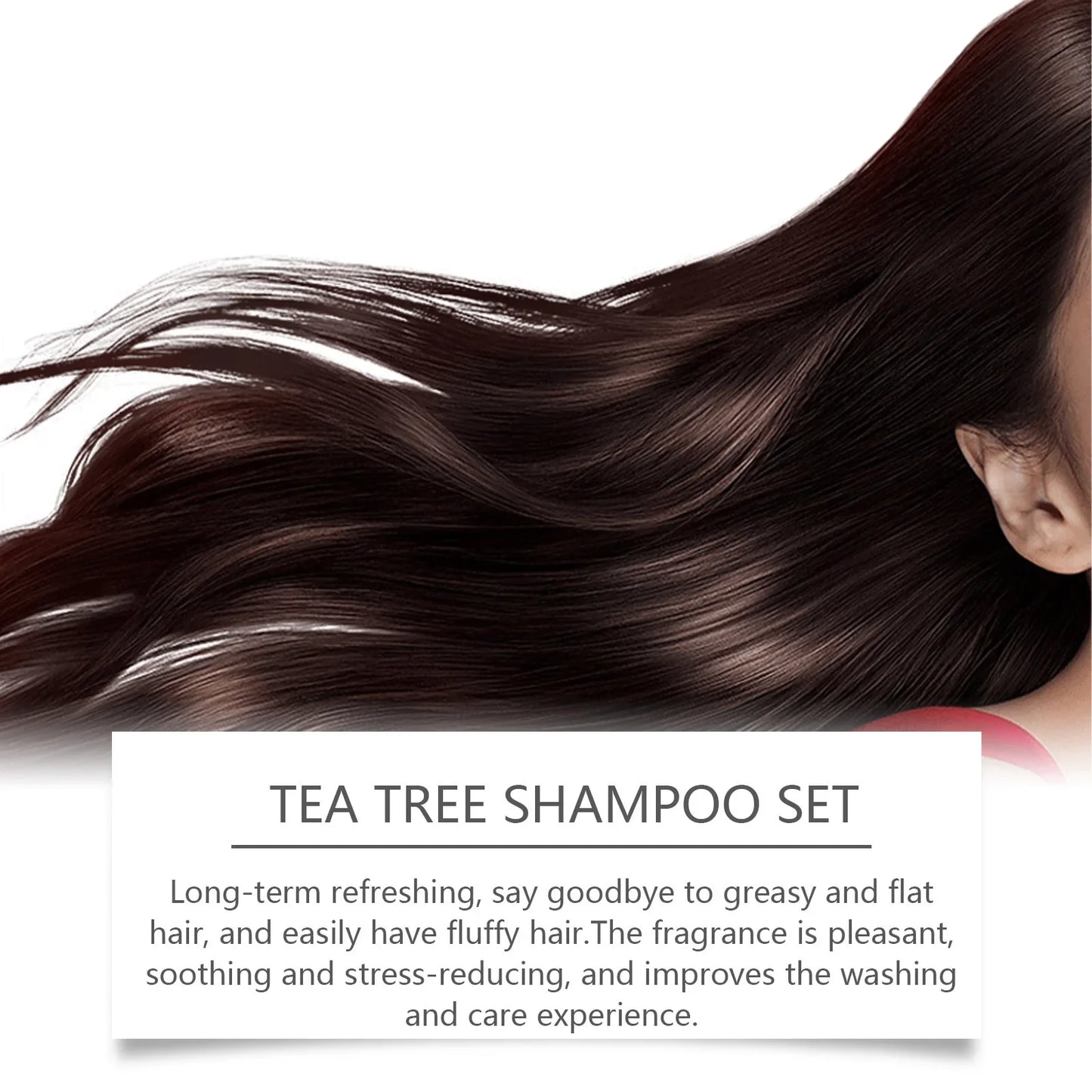 Ensemble de shampoing et après-shampooing, nettoyage en profondeur, hydratant, nourrissant, réparation, contrôle de l'huile sèche endommagée, soins capillaires pour arbre à thé