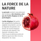 Extrait de Grenade - IMPORTANT: 50:1 extrait (=110.000mg) par dose journalière avec 40% d'acide ellagique - 100% Végétalien & Sans Additifs - Réserve pour 2 mois