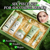Centella asiatica ensemble de soins de la peau apaisant contrôle de l'huile estompe les ridules crème hydratante Anti-rides réparation visage soin ensemble boîte