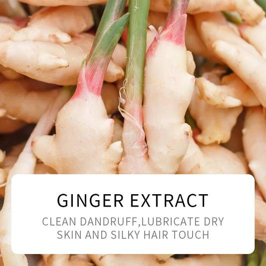 SADOER shampooing au gingembre pour cheveux gras du cuir chevelu rafraîchissant adoucissant nettoyant extrait de gingembre naturel shampooing volumateur de contrôle de l'huile