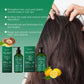 Ensemble de shampoing et après-shampooing, nettoyage en profondeur, hydratant, nourrissant, réparation, contrôle de l'huile sèche endommagée, soins capillaires pour arbre à thé
